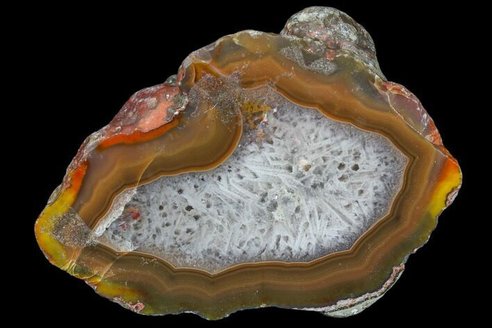 Polished Condor Agate From Argentina - Cut/Polished Face #79505